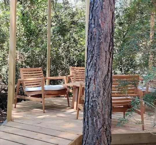 Campsite U Stabiacciu Porto-Vecchio (Corsica)